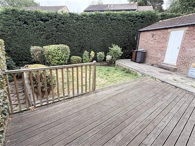 Picture 14